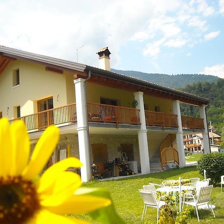 Agriturismo Il Girasole 펠트레 외부 사진