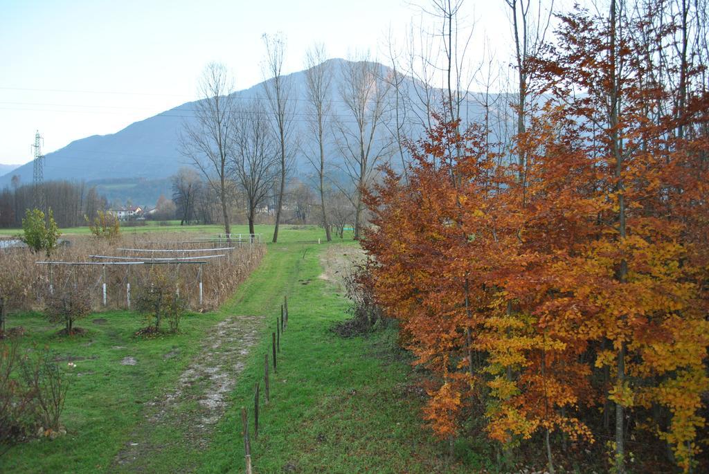 Agriturismo Il Girasole 펠트레 외부 사진